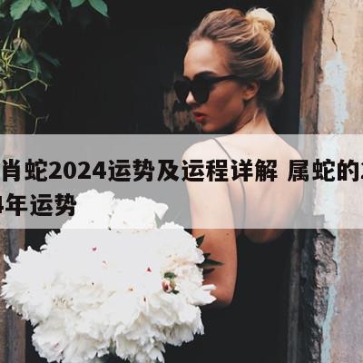 生肖蛇2024运势及运程详解 属蛇的2024年运势
