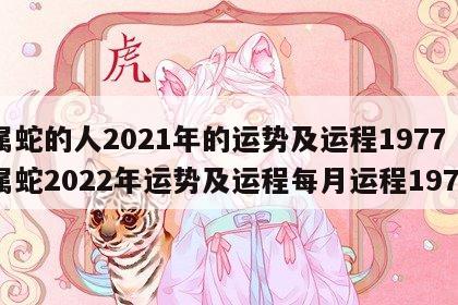 属蛇的人2021年的运势及运程1977 属蛇2022年运势及运程每月运程1977