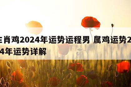 生肖鸡2024年运势运程男 属鸡运势2024年运势详解