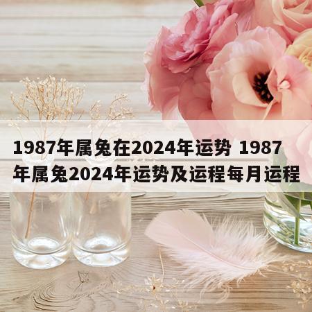 1987年属兔在2024年运势 1987年属兔2024年运势及运程每月运程