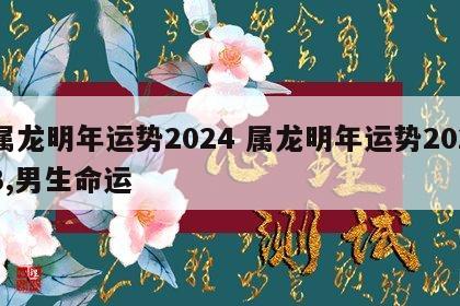 属龙明年运势2024 属龙明年运势2023,男生命运