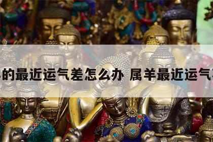 属羊的最近运气差怎么办 属羊最近运气不好