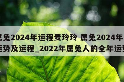 属兔2024年运程麦玲玲 属兔2024年运势及运程_2022年属兔人的全年运势