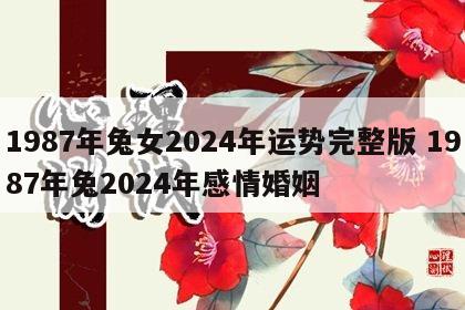 1987年兔女2024年运势完整版 1987年兔2024年感情婚姻