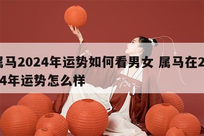属马2024年运势如何看男女 属马在2024年运势怎么样