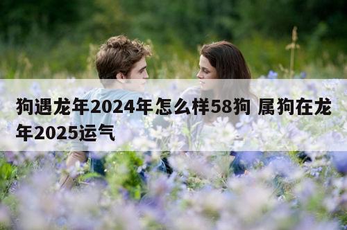 狗遇龙年2024年怎么样58狗 属狗在龙年2025运气