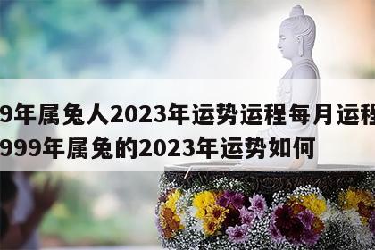 99年属兔人2023年运势运程每月运程 1999年属兔的2023年运势如何