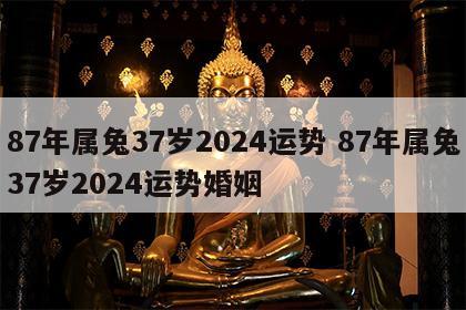 87年属兔37岁2024运势 87年属兔37岁2024运势婚姻