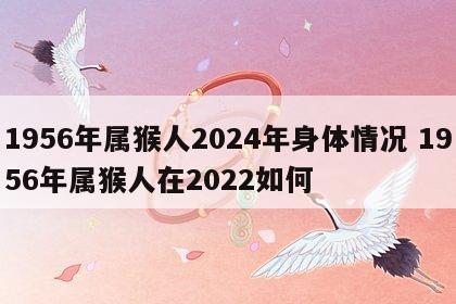1956年属猴人2024年身体情况 1956年属猴人在2022如何