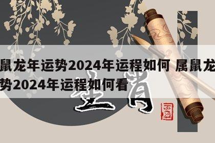属鼠龙年运势2024年运程如何 属鼠龙年运势2024年运程如何看