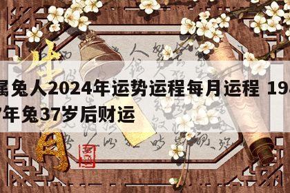 属兔人2024年运势运程每月运程 1987年兔37岁后财运