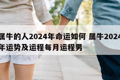 属牛的人2024年命运如何 属牛2024年运势及运程每月运程男