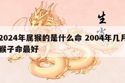 2024年属猴的是什么命 2004年几月猴子命最好