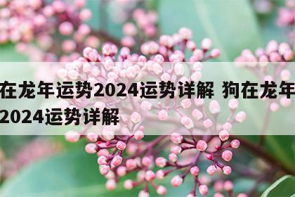 牛在龙年运势2024运势详解 狗在龙年运势2024运势详解