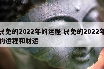 属兔的2022年的运程 属兔的2022年的运程和财运
