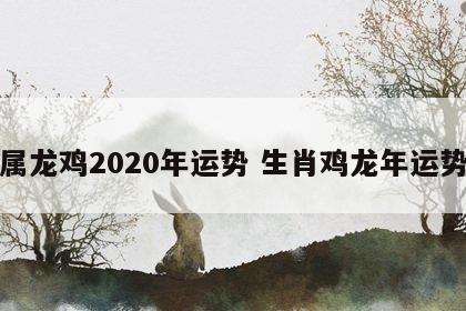 属龙鸡2020年运势 生肖鸡龙年运势