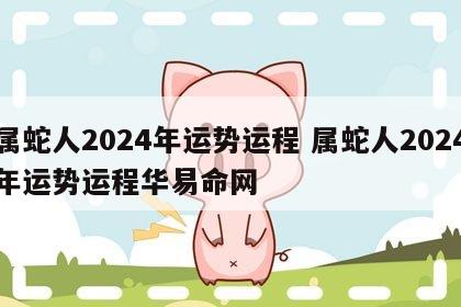 属蛇人2024年运势运程 属蛇人2024年运势运程华易命网