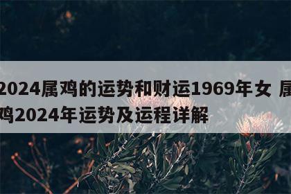 2024属鸡的运势和财运1969年女 属鸡2024年运势及运程详解