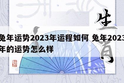 兔年运势2023年运程如何 兔年2023年的运势怎么样