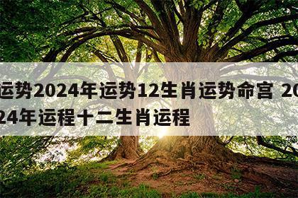 运势2024年运势12生肖运势命宫 2024年运程十二生肖运程