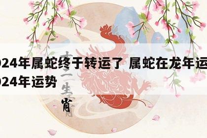 2024年属蛇终于转运了 属蛇在龙年运势2024年运势