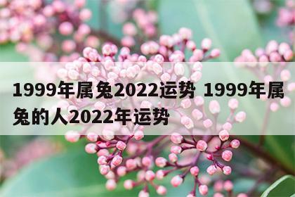 1999年属兔2022运势 1999年属兔的人2022年运势