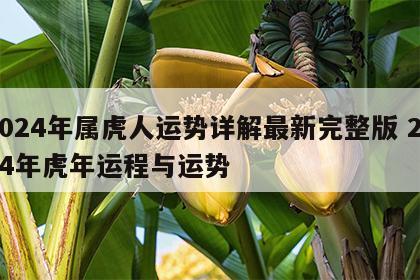 2024年属虎人运势详解最新完整版 2024年虎年运程与运势