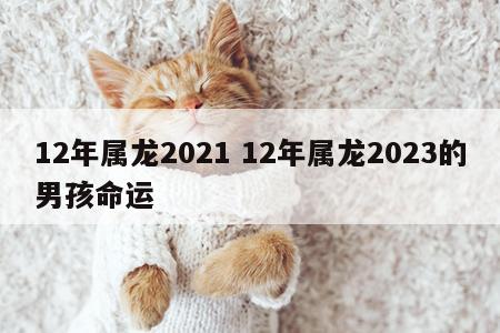 12年属龙2021 12年属龙2023的男孩命运