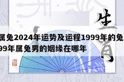 属兔2024年运势及运程1999年的兔 99年属兔男的姻缘在哪年