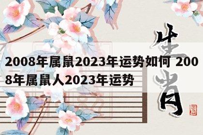 2008年属鼠2023年运势如何 2008年属鼠人2023年运势