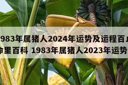 1983年属猪人2024年运势及运程百止命里百科 1983年属猪人2023年运势