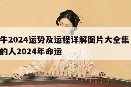 属牛2024运势及运程详解图片大全集 属牛的人2024年命运