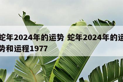 蛇年2024年的运势 蛇年2024年的运势和运程1977