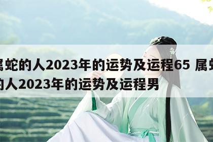 属蛇的人2023年的运势及运程65 属蛇的人2023年的运势及运程男