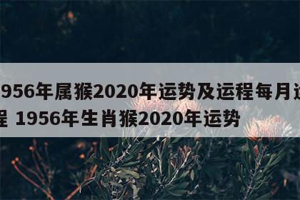 1956年属猴2020年运势及运程每月运程 1956年生肖猴2020年运势