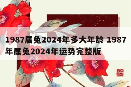 1987属兔2024年多大年龄 1987年属兔2024年运势完整版