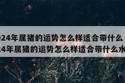 2024年属猪的运势怎么样适合带什么 2024年属猪的运势怎么样适合带什么水晶