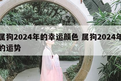 属狗2024年的幸运颜色 属狗2024年的运势