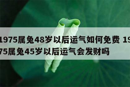 1975属兔48岁以后运气如何免费 1975属兔45岁以后运气会发财吗