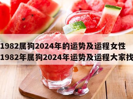 1982属狗2024年的运势及运程女性 1982年属狗2024年运势及运程大家找