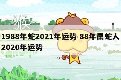 1988年蛇2021年运势 88年属蛇人2020年运势
