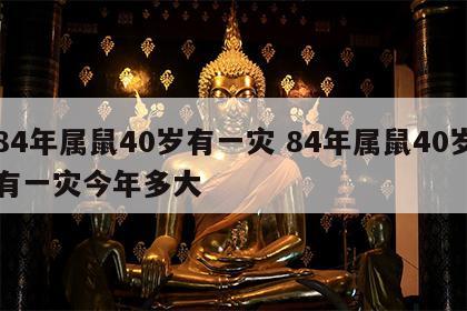 84年属鼠40岁有一灾 84年属鼠40岁有一灾今年多大