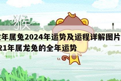 龙年属兔2024年运势及运程详解图片 2021年属龙兔的全年运势