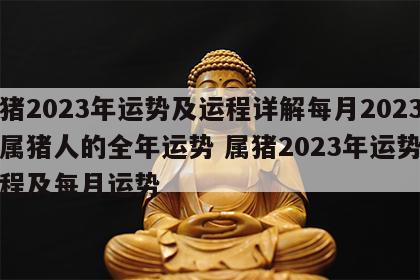 属猪2023年运势及运程详解每月2023年属猪人的全年运势 属猪2023年运势及运程及每月运势