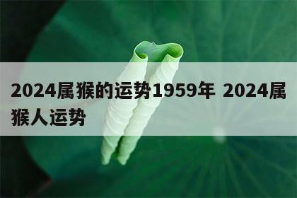 2024属猴的运势1959年 2024属猴人运势