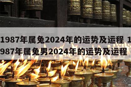 1987年属兔2024年的运势及运程 1987年属兔男2024年的运势及运程