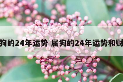 属狗的24年运势 属狗的24年运势和财运