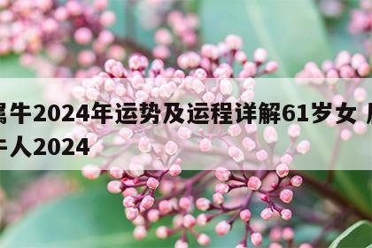 属牛2024年运势及运程详解61岁女 属牛人2024
