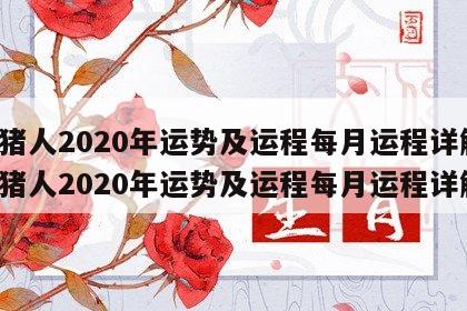 属猪人2020年运势及运程每月运程详解 属猪人2020年运势及运程每月运程详解