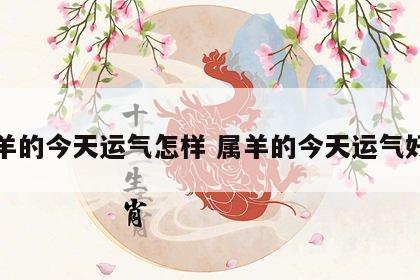 属羊的今天运气怎样 属羊的今天运气好吗